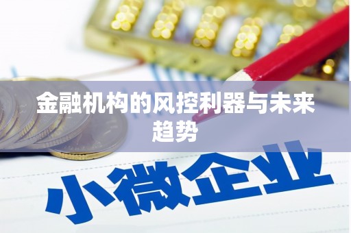 依安金融机构的风控利器与未来趋势