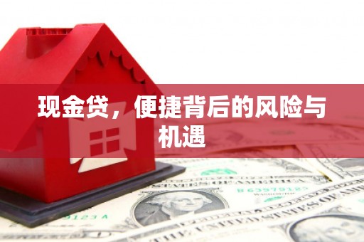 依安现金贷，便捷背后的风险与机遇