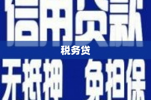 依安税务贷