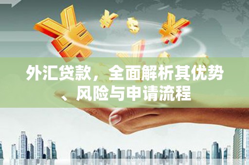 依安外汇贷款，全面解析其优势、风险与申请流程