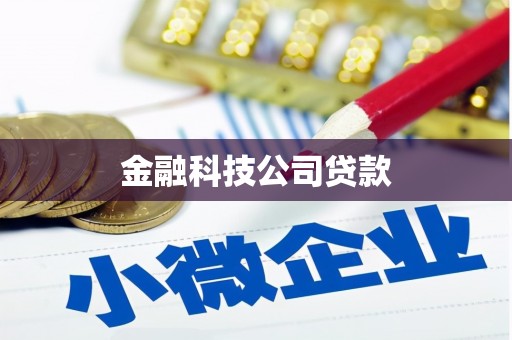 依安金融科技公司贷款
