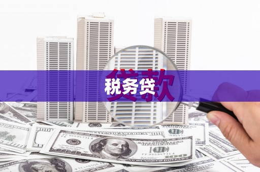 依安税务贷