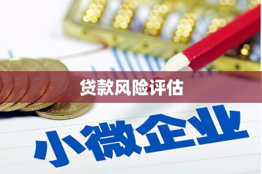 依安贷款风险评估