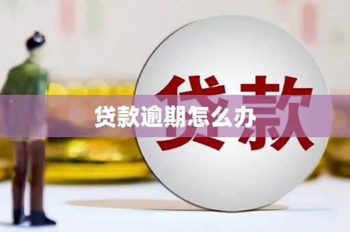 依安贷款逾期怎么办