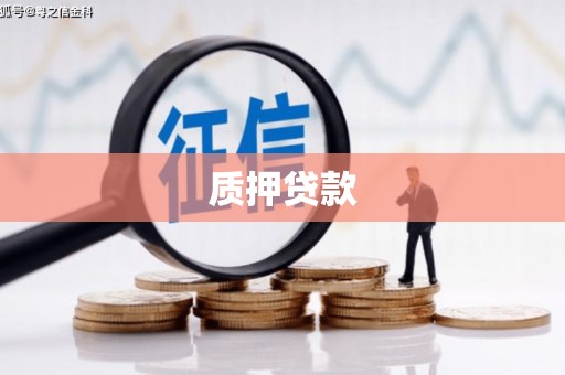 依安质押贷款