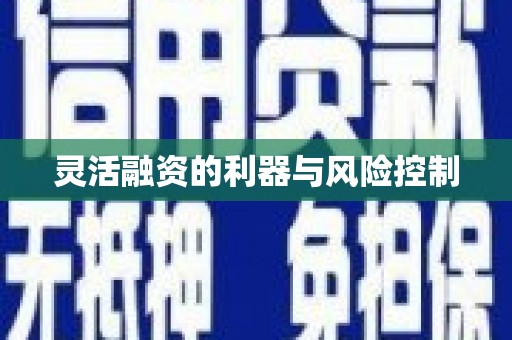 依安灵活融资的利器与风险控制
