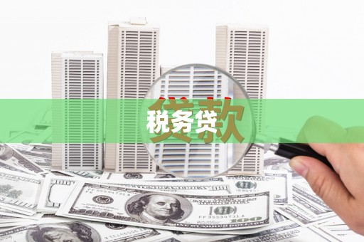 依安税务贷