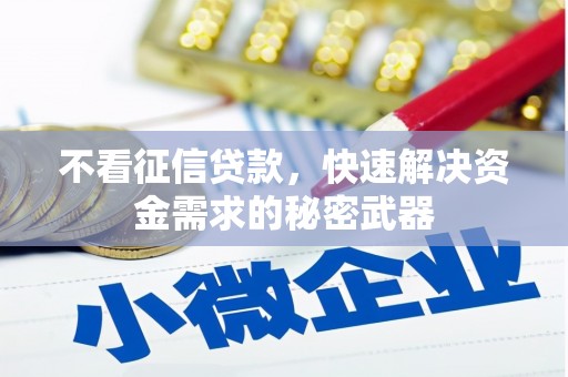 依安不看征信贷款，快速解决资金需求的秘密武器
