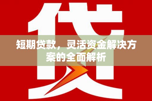依安短期贷款，灵活资金解决方案的全面解析