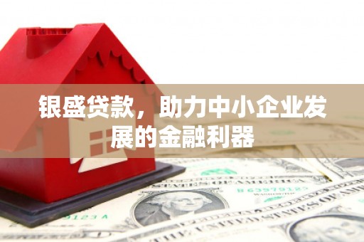 依安银盛贷款，助力中小企业发展的金融利器