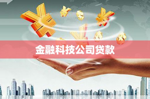依安金融科技公司贷款