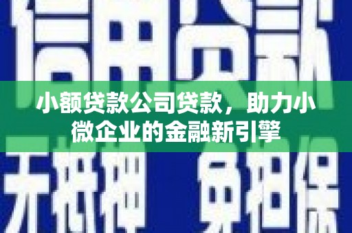 依安小额贷款公司贷款，助力小微企业的金融新引擎