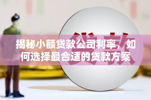 依安揭秘小额贷款公司利率，如何选择最合适的贷款方案
