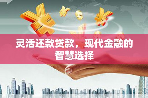 依安灵活还款贷款，现代金融的智慧选择