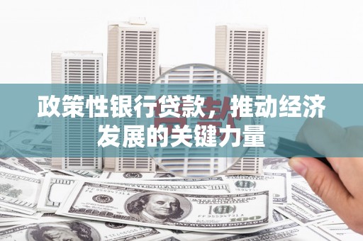 依安政策性银行贷款，推动经济发展的关键力量
