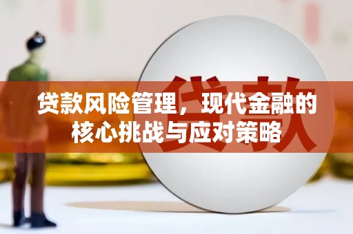 依安贷款风险管理，现代金融的核心挑战与应对策略