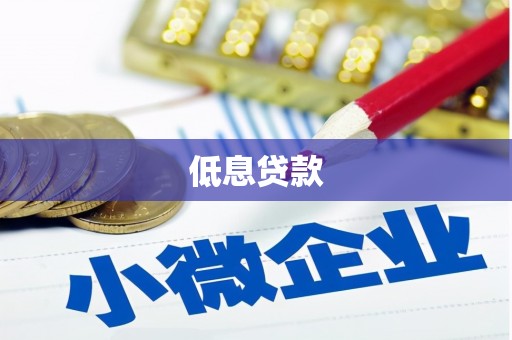 依安低息贷款