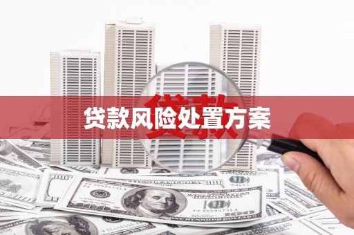 依安贷款风险处置方案