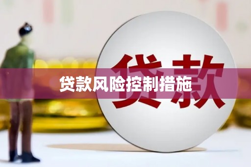 依安贷款风险控制措施
