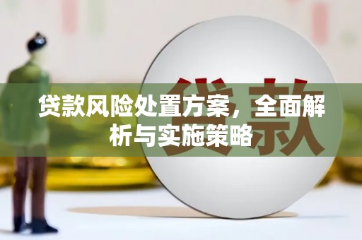 依安贷款风险处置方案，全面解析与实施策略